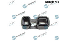 Těsnění, automatická převodovka LIZARTE DRM01730