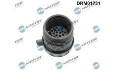 Zásuvná skříň, automatická převodovka (řídicí jednotka) LIZARTE DRM01731