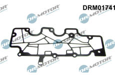 Těsnění, ventilace klikové skříně LIZARTE DRM01741