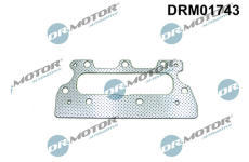 Těsnění, kolektor výfukových plynů LIZARTE DRM01743