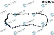 Těsnění, olejová vana LIZARTE DRM01745