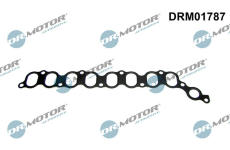 Těsnění, koleno sacího potrubí LIZARTE DRM01787