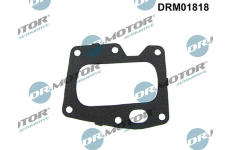 Těsnění, AGR ventil LIZARTE DRM01818