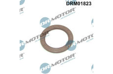 Těsnicí kroužek hřídele, klikový hřídel LIZARTE DRM01823