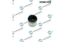 Píst, vysokotlaké čerpadlo LIZARTE DRM01829