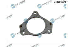 Těsnění, výfuková trubka LIZARTE DRM01939