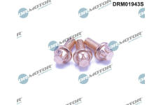 Šroub, výfukový systém LIZARTE DRM01943S