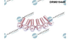 Šroub, výfukový systém LIZARTE DRM01944S