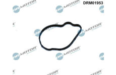 Těsnění, vstřikovací čerpadlo LIZARTE DRM01953