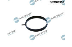 Těsnění, hrdlo škrtící klapky LIZARTE DRM01957