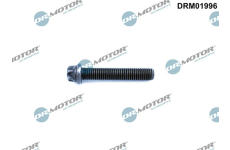 Ojniční šroub LIZARTE DRM01996