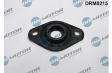 Těsnění, držák trysky LIZARTE DRM0215