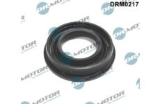 Těsnění, držák trysky LIZARTE DRM0217