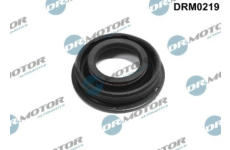 Těsnění, držák trysky LIZARTE DRM0219