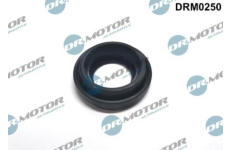 Těsnění, držák trysky LIZARTE DRM0250