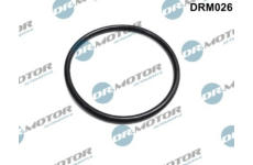 Těsnění, hrdlo škrtící klapky LIZARTE DRM026