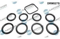 Sada těsnění, koleno sacího potrubí LIZARTE DRM027S