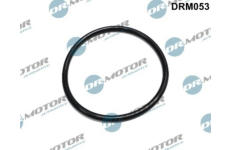 Těsnění, palivový filtr LIZARTE DRM053