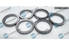 Sada těsnění, kolektor výfukových plynů LIZARTE DRM0538S