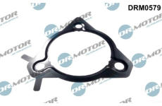 Těsnění, vstřikovací čerpadlo LIZARTE DRM0579