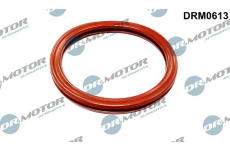 Těsnění, hrdlo škrtící klapky LIZARTE DRM0613