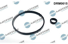 Sada těsnění, chladič oleje LIZARTE DRM0615