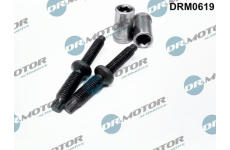 Šroub, držák vstřikovací trysky LIZARTE DRM0619