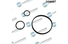 Sada těsnění, chladič oleje LIZARTE DRM067