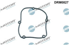 Těsnění, kryt rozvodového ústrojí LIZARTE DRM0827