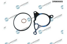 Sada těsnění, podtlaková pumpa LIZARTE DRM0908S