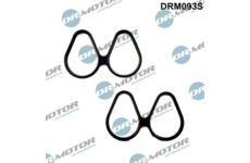 Sada těsnění, koleno sacího potrubí LIZARTE DRM093S