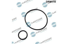 Sada těsnění, koleno sacího potrubí LIZARTE DRM116