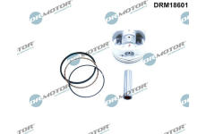 Píst LIZARTE DRM18601