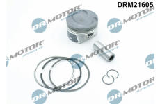 Píst LIZARTE DRM21605