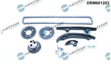 Sada rozvodového řetězu LIZARTE DRM601203