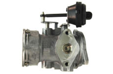 AGR-Ventil LIZARTE EGR017