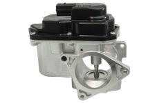 AGR-Ventil LIZARTE EGR020