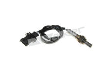 Lambda sonda WALKER PRODUCTS 250-241024