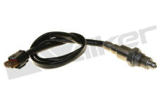 Lambda sonda WALKER PRODUCTS 250-241175