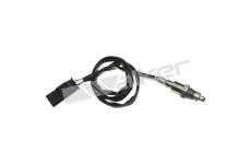 Lambda sonda WALKER PRODUCTS 250-241213