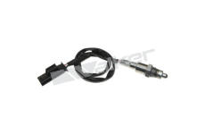 Lambda sonda WALKER PRODUCTS 250-241214