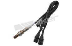 Lambda sonda WALKER PRODUCTS 250-24184