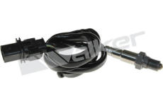 Lambda sonda WALKER PRODUCTS 250-25031