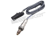 Lambda sonda WALKER PRODUCTS 350-95025