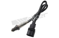 Lambda sonda WALKER PRODUCTS 800-95029
