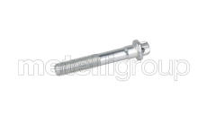 Šroub GRAF bolt5