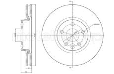 Brzdový kotouč CIFAM 800-896C