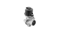 AGR - Ventil BorgWarner 710525D