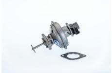 AGR-Ventil BorgWarner 710970R