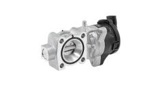 AGR-Ventil BorgWarner 72147557D